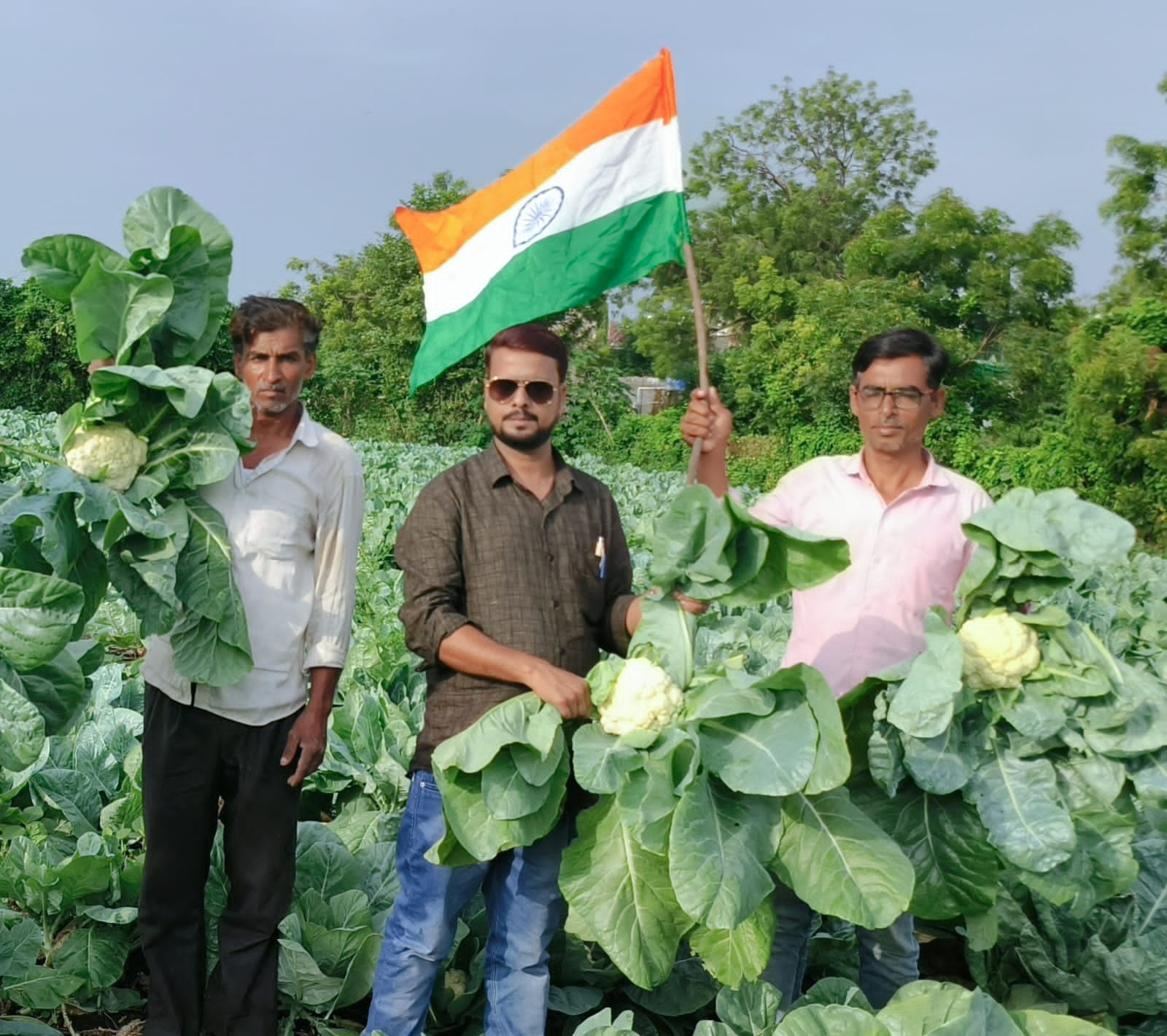 Nalanda Agro Seeds hero image